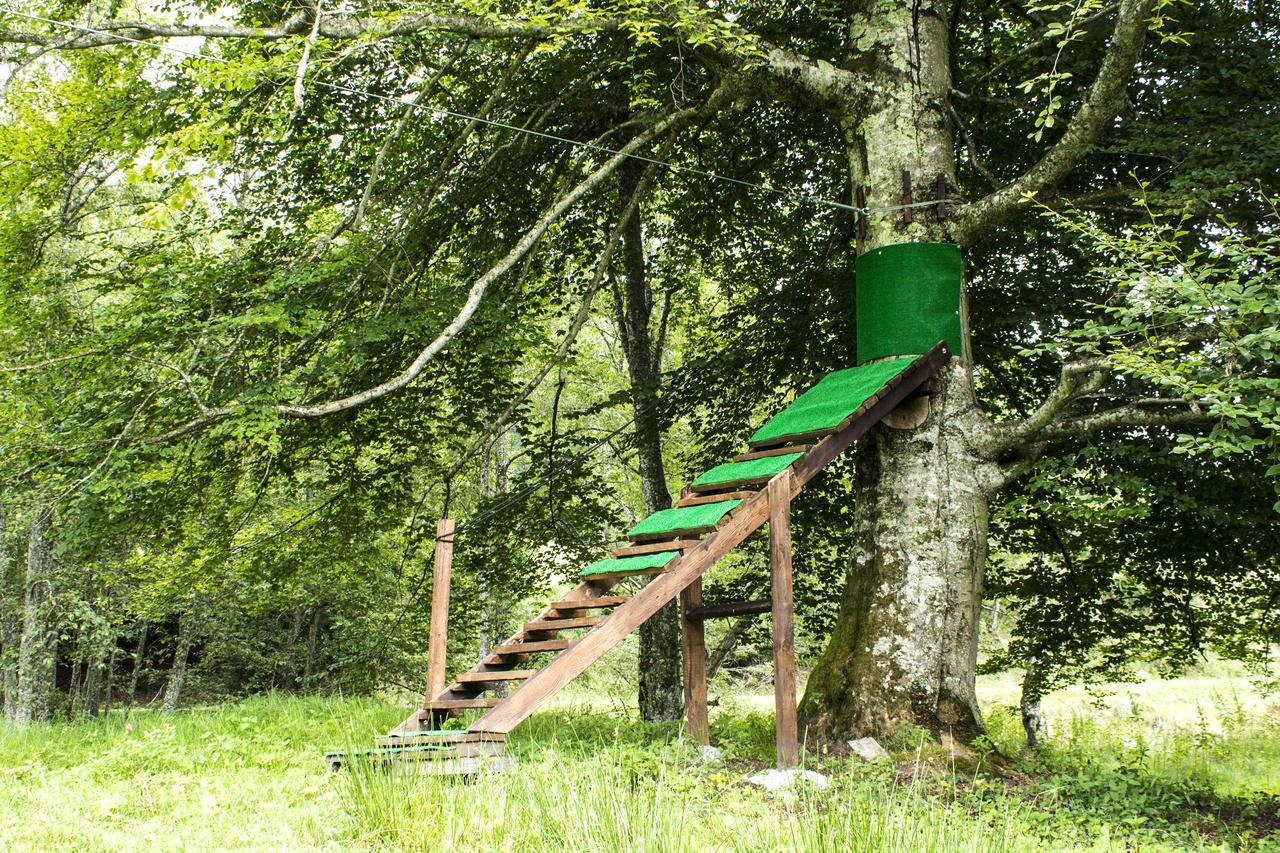 Cabana Barlogul Lupilor Villa Berevoesti Екстериор снимка
