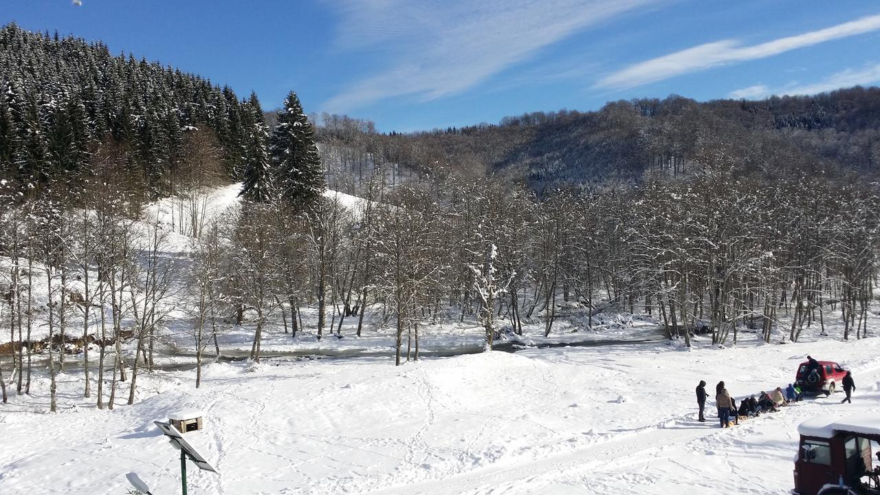 Cabana Barlogul Lupilor Villa Berevoesti Екстериор снимка