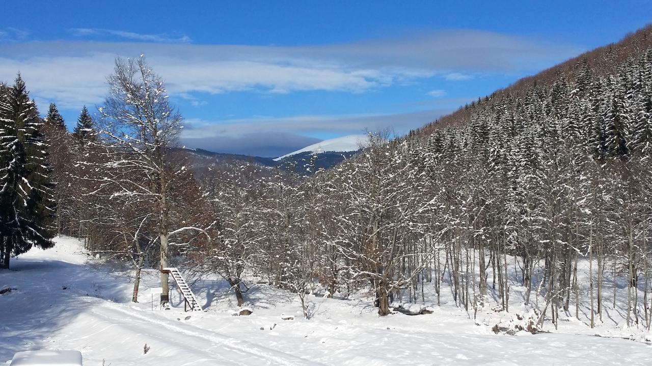 Cabana Barlogul Lupilor Villa Berevoesti Екстериор снимка